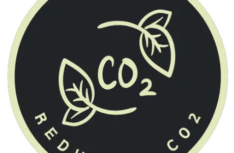 Reducere-CO2