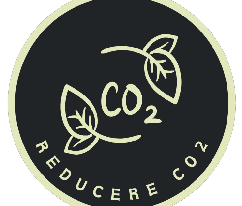 Reducere-CO2